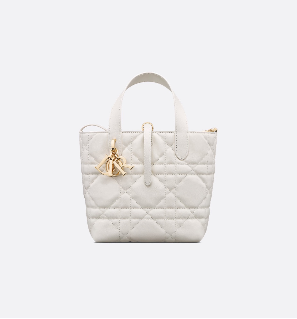 dior toujours small vertical tote handbag